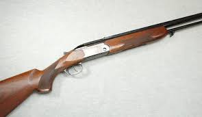 Shotguns / Ammo & Components