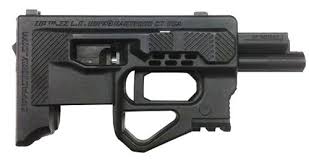 ZiP .22 Long Rifle Platform