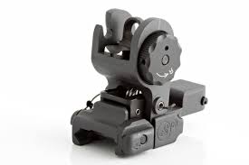 Backup Sights
