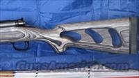 Winchester 70 Coyote Outback 243 /EASY PAY 84 Img-2