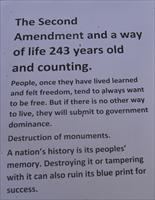 $71 EASY PAY (IT'S Like Real Problem solving Versus Gossip News) (OH NO HE DID'T !) Bushmaster AR-15 with Big Game Stopping Power .450 Bushmaster ar15 Carbine Snake Charmer Muzzle Brake A2 Pistol Grip Fixed Stock 10010