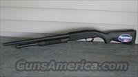 Mossberg 500 Talo Addition HOME DEFENSE 12 gauge EASY PAY 36.00 a month Summer Sale  Img-1