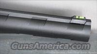 Remington 887 Nitro 12 ga EASY PAY 75  82501 Img-5