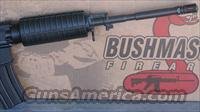 Bushmaster   Img-6