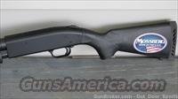 Mossberg 500 12 ga Talo Addtion HOME DEFENSE 52134 /EASY PAY 36 Monthly Img-2