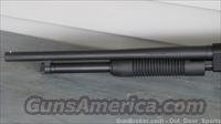 Mossberg 500 12 ga Talo Addtion HOME DEFENSE 52134 /EASY PAY 36 Monthly Img-3