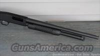 Mossberg 500 12 ga Talo Addtion HOME DEFENSE 52134 /EASY PAY 36 Monthly Img-6