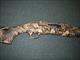 Browning Silver Rifled Deer 12ga 22" #011411321 3"