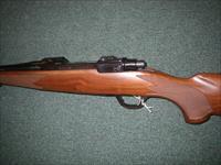 Ruger M77 Hawkeye Compact Blue/Wood 7mm-08 Rem 16.5" #37140