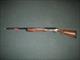 Benelli Sport II Walnut 20ga 28" NEW 3" Chamber #10670