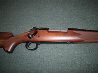 Winchester Model 70 Sporter 264 Win Mag 26" NEW #535202229