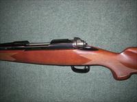 Winchester Model 70 Sporter 264 Win Mag 26" NEW #535202229