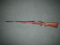 Winchester Model 70 Sporter 264 Win Mag 26" NEW #535202229