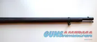 SPRINGFIELD U.S. TRAPDOOR RIFLE MODEL 1878 WITH ORIGINAL BAYONET AND SCABBARD