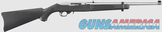 Ruger 10/22 Takedown, .22 Long Rifle