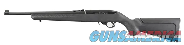 Ruger 10/22 Compact, .22 Long Rifle NEW 31114