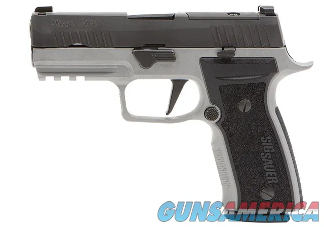 Sig Sauer P320 AXG Carry, 9mm, Ten Round Magazines NEW 320AXGCA-9-RTXR3-R2-