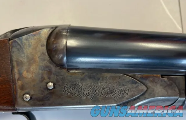 Fox Model B 16 Gauge (waterfowl engraving)