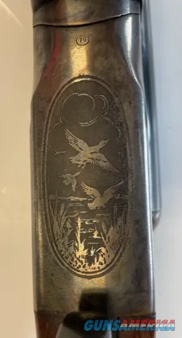 Fox Model B 16 Gauge (waterfowl engraving)