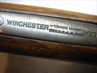 WINCHESTER    Img-4