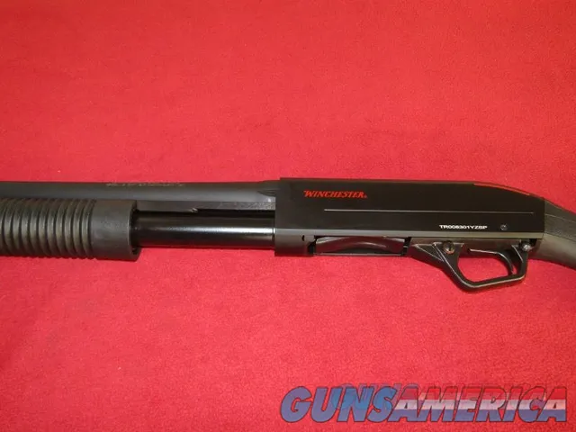 Winchester SXP Defender Shotgun 12 Ga. Img-6