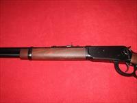 Winchwester 1894 Carbine .38-55 Win. Img-3