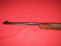 Browning BLR Light Weight Rifle .243 Win. Img-5