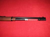 Winchester 1894 Carbine .38-55 Win. Img-4