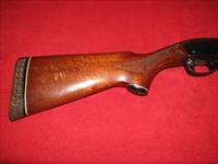 Remington 870 LW Shotgun 20 Ga. Img-2