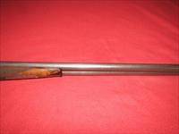 Colt PTFA 1883 Shotgun 12 Ga. Img-4