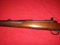 Winchester 70 Pre-64 Rifle .375 H&H Mag. Img-6