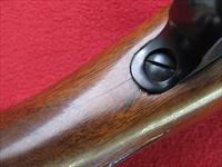 Winchester 70 Pre-64 Rifle .375 H&H Mag. Img-16