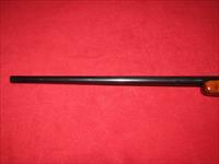 Schultz & Larsen Model 65 Rifle (7x61 Sharpe & Hart)