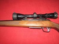 Tikka M695 Rifle 7mm Rem. Mag. Img-6