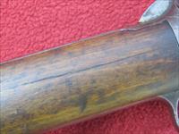Winchester 1906 Rifle .22 S-L-LR Img-13