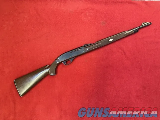Remington Nylon 66 (.22 lr) 