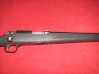 Ruger 77/22 Rifle (.22 LR)