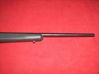 Ruger 77/22 Rifle (.22 LR)