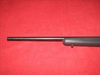Ruger 77/22 Rifle (.22 LR)