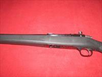 Ruger 77/22 Rifle (.22 LR)
