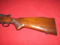 Winchester 70 Pre-64 Rifle .270 Win. Img-7
