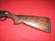 Beretta AL391 TeKnys Shotgun (12 Ga.)