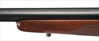 WINCHESTER M70 PRE-64 VARMINT IN .220 SWIFT WITH STAINLESS STEEL BARREL Img-2