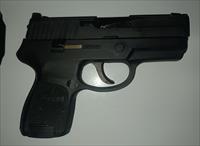 Sig P250 Img-1