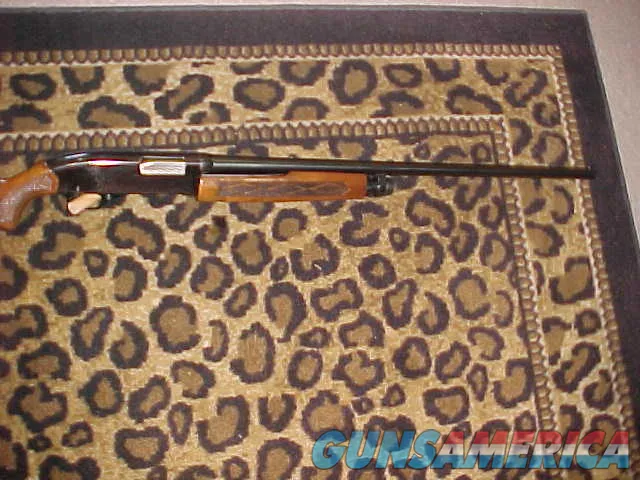 Winchester SB1200PD  Img-4