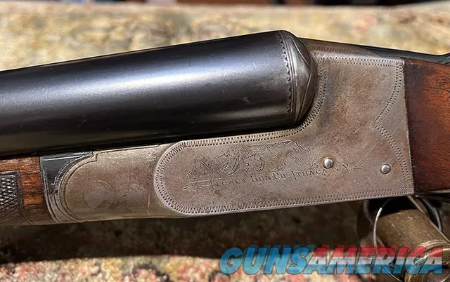 Ithaca Flues #3 12 gauge s/s shotgun