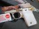 Sig Sauer P238 Tuxedo Edition Limited Run .380 2 mags Night Sights 238-380-TUX NIB CHECK IT OUT !!