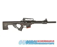 LKCI Omega AR 12 