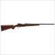 Winchester 70 Featherweight Compact .243 20" Blued Walnut 535201212
