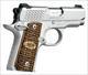 Kimber 380Acp Micro Raptor Ss KIM3300084